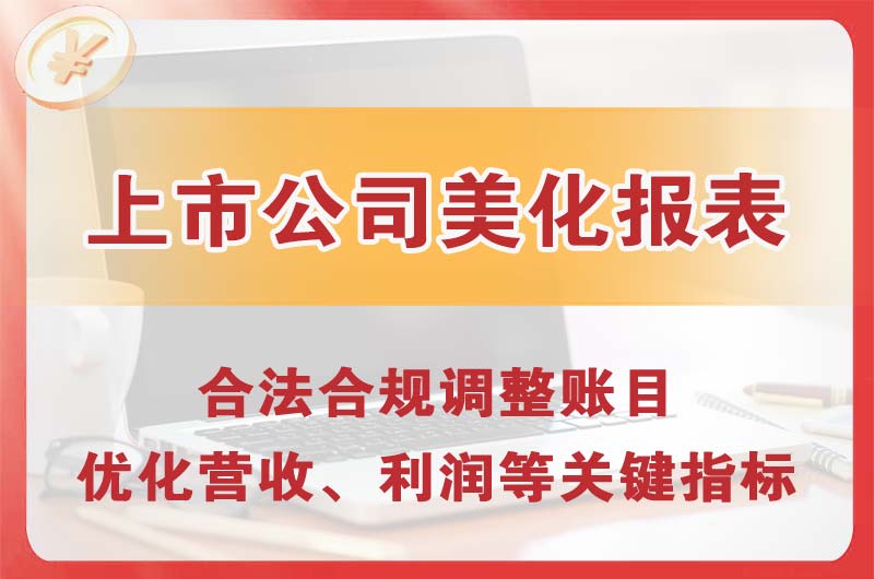 湛江上市公司美化报表